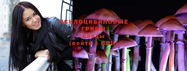 a pvp Алексин