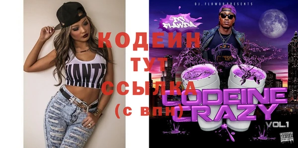 хмурый Алзамай