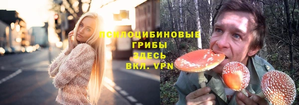 ECSTASY Семилуки