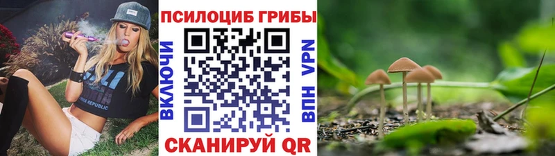 Галлюциногенные грибы Psilocybe  это состав  Ладушкин 